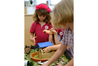 abacus_kindy_4214